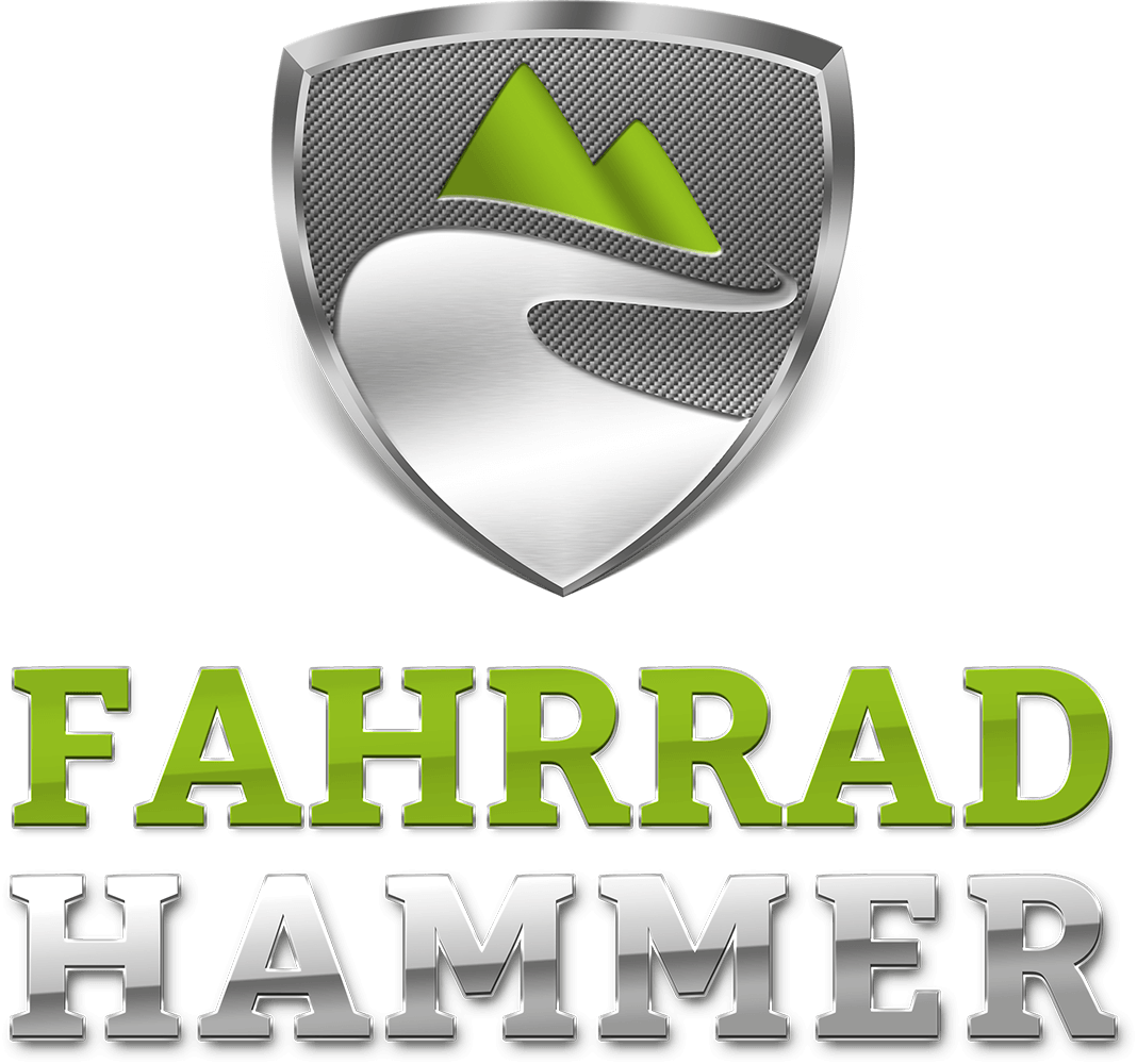 fahrrad-hammer-logo_aufdunkel Radverleih Dübener Heide - Start